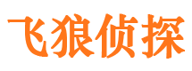 仁化市婚外情调查